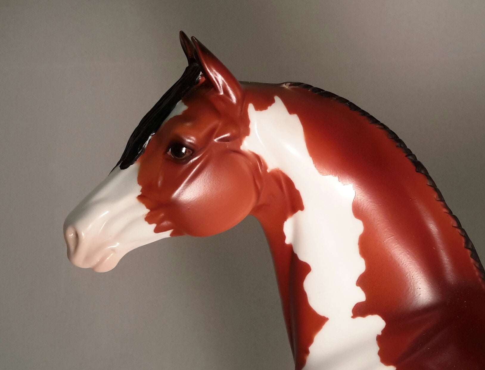 SCRAMBLER - Overo Paint Morgan Horse