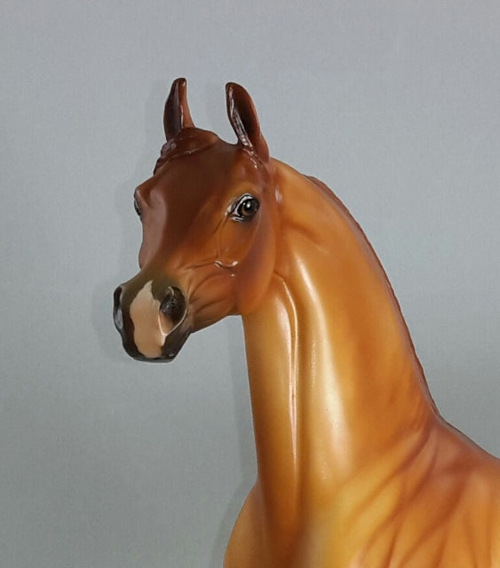 SRIRACHA - Red Dun Arabian Model Horse