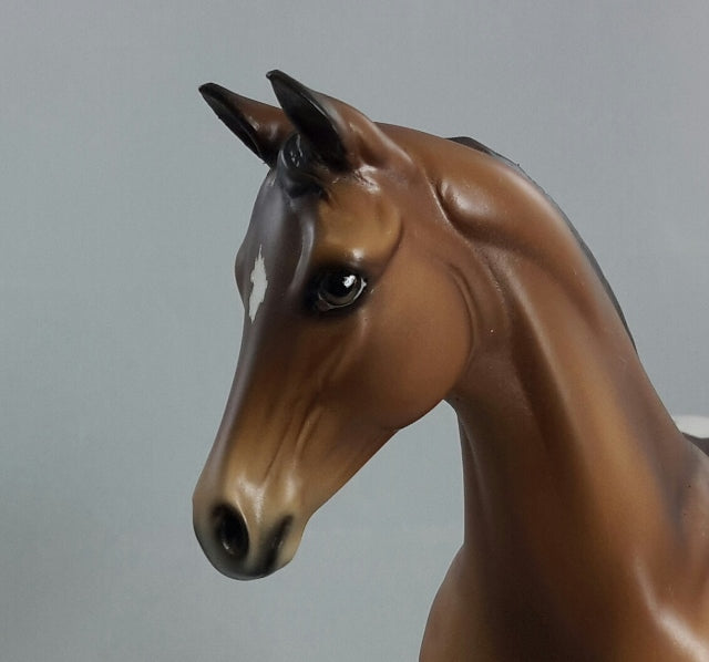 THYME - Baby Bay Appaloosa Weanling Model Horse