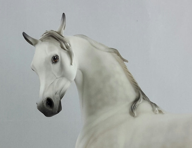 SUPERNATURAL PORCELAIN - Light Dapple Gray Extreme Arabian