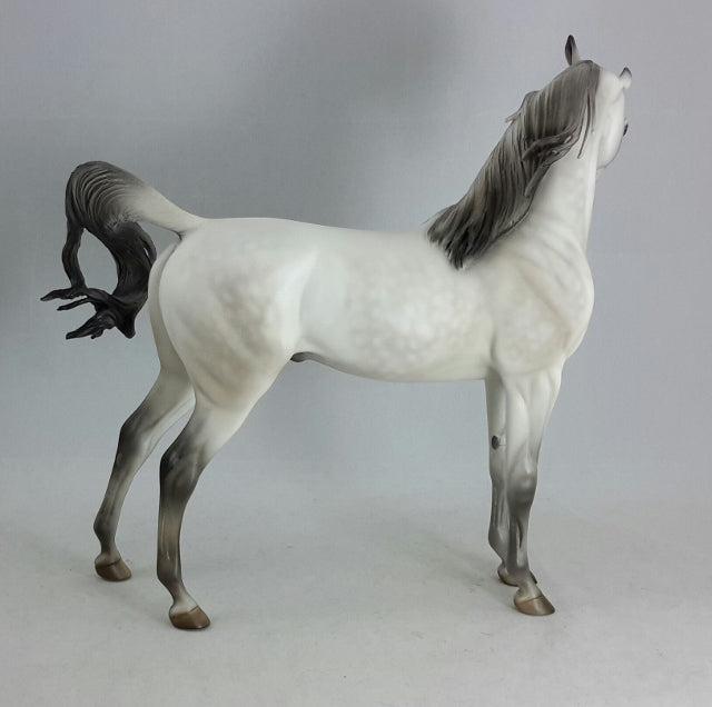 SUPERNATURAL PORCELAIN - Light Dapple Gray Extreme Arabian