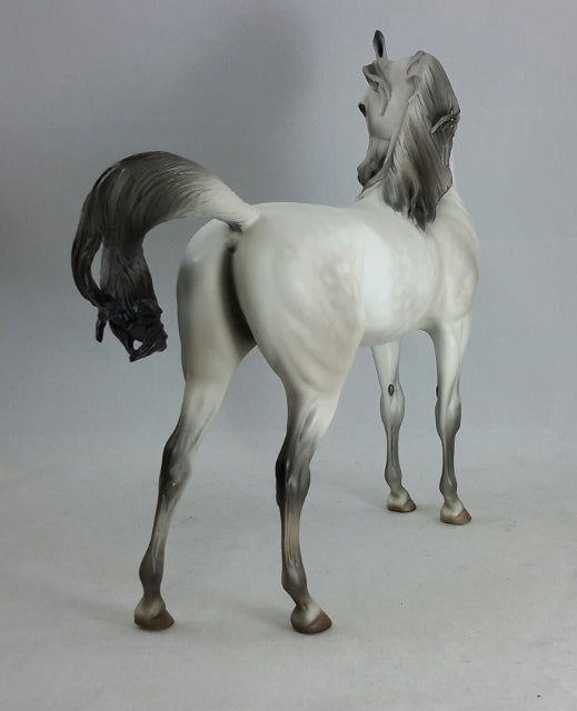 SUPERNATURAL PORCELAIN - Light Dapple Gray Extreme Arabian