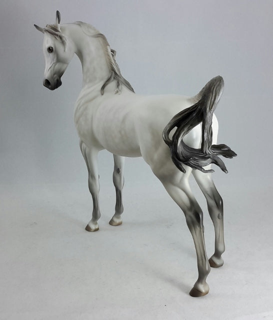 SUPERNATURAL PORCELAIN - Light Dapple Gray Extreme Arabian