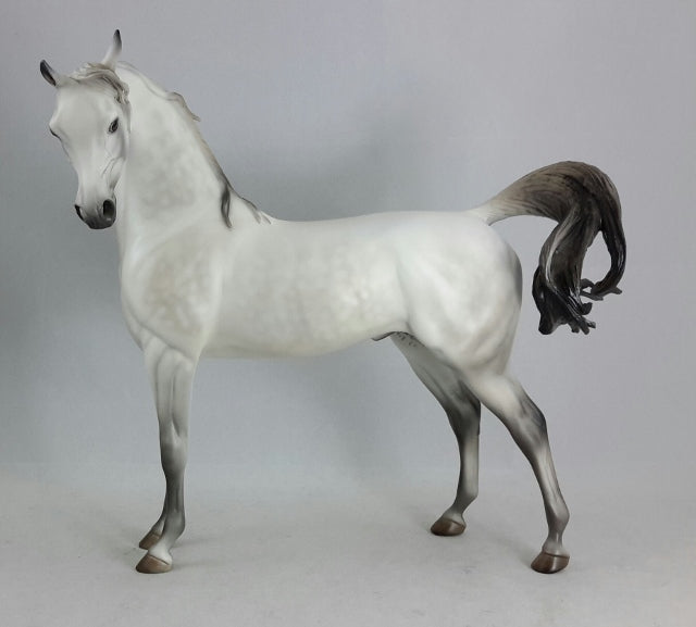 SUPERNATURAL PORCELAIN - Light Dapple Gray Extreme Arabian