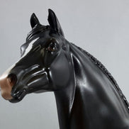 BLACK MAGIC - Dapple Black/Brown Morgan