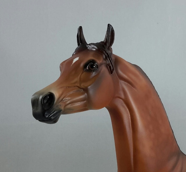 DIVINE PROVIDENCE - Dappled Bay Arabian Model Horse