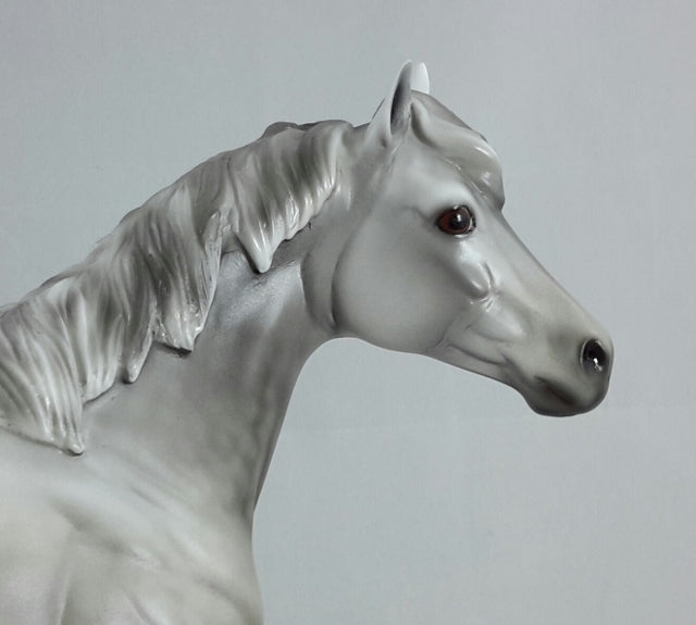 GUARDIAN ANGEL - Dapple Gray Stock Horse