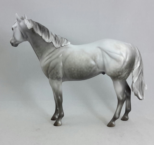 GUARDIAN ANGEL - Dapple Gray Stock Horse