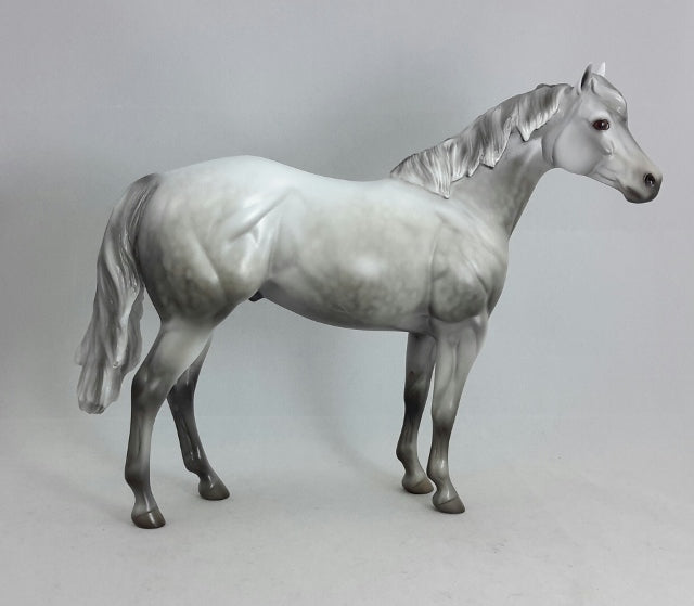 GUARDIAN ANGEL - Dapple Gray Stock Horse