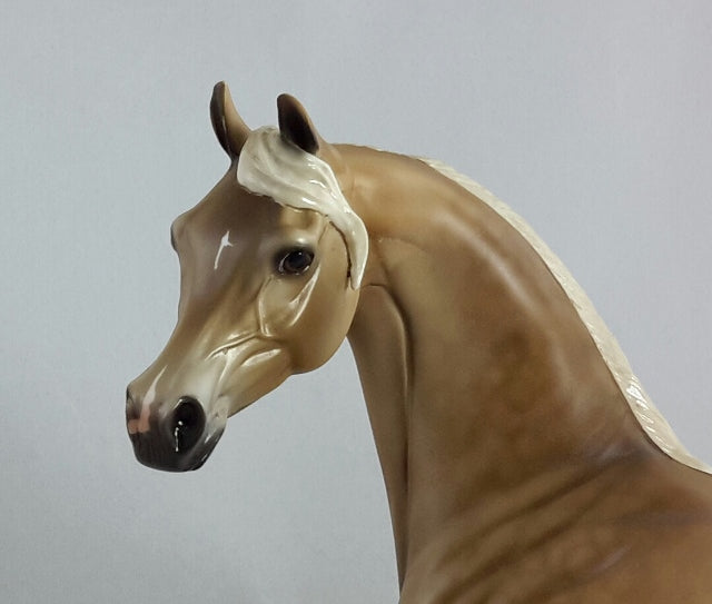 SIGN OF THE CROSS - OOAK Sooty Buckskin Arabian