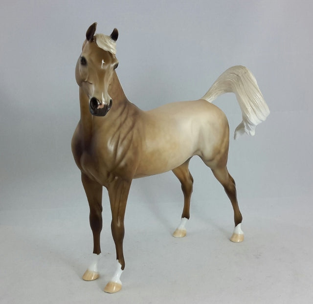 SIGN OF THE CROSS - OOAK Sooty Buckskin Arabian