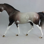 BEAM ME UP - OOAK  Dapple Gray Sabino Pony with Butterfly