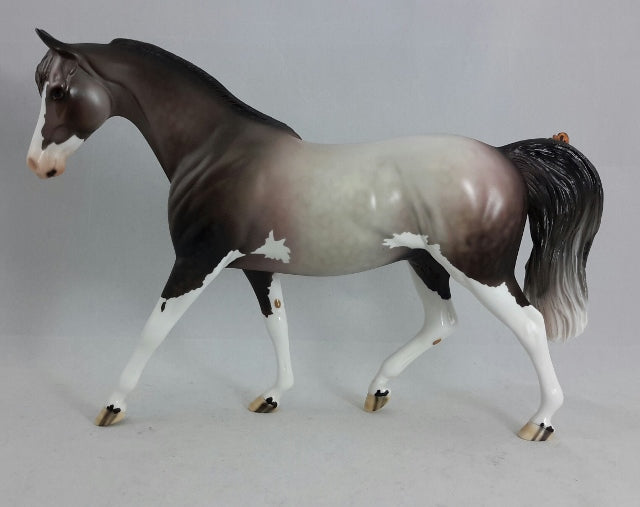 BEAM ME UP - OOAK  Dapple Gray Sabino Pony with Butterfly