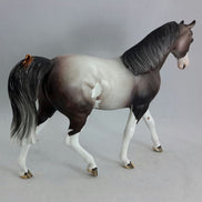 BEAM ME UP - OOAK  Dapple Gray Sabino Pony with Butterfly