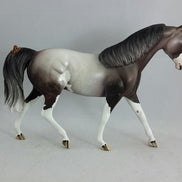 BEAM ME UP - OOAK  Dapple Gray Sabino Pony with Butterfly
