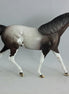 BEAM ME UP - OOAK  Dapple Gray Sabino Pony with Butterfly