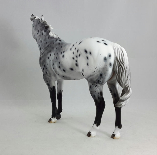PHANTOM RIDER #1 - Extreme Leopard Appaloosa