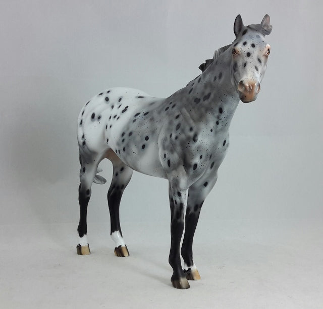 PHANTOM RIDER #1 - Extreme Leopard Appaloosa