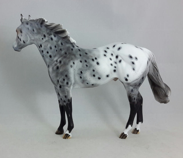 PHANTOM RIDER #1 - Extreme Leopard Appaloosa