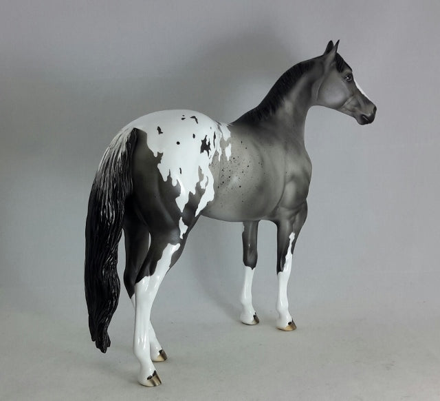 MARVEL - OOAK  Gray Appaloosa