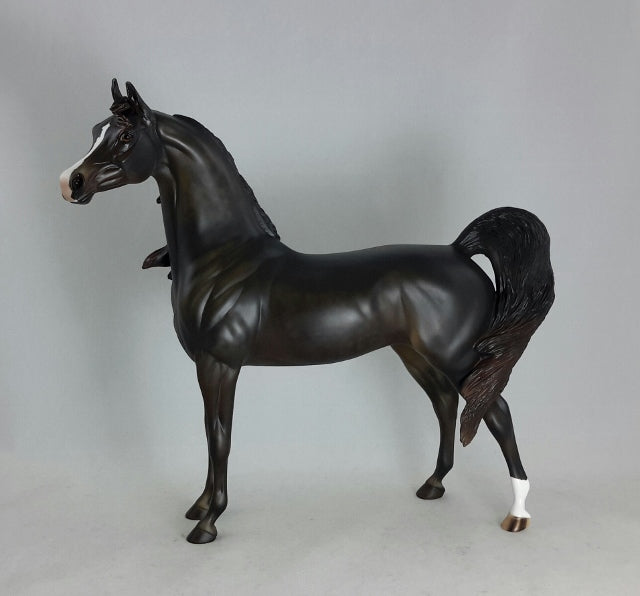 BLACK ORCHID - Sunburnt Black Arabian