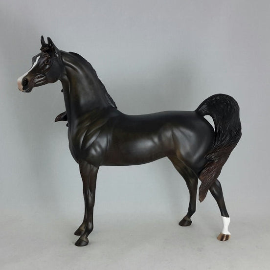 BLACK ORCHID - Sunburnt Black Arabian
