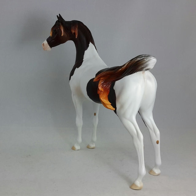 FREE SPIRIT - OOAK Dark Liver Chestnut Pintabian