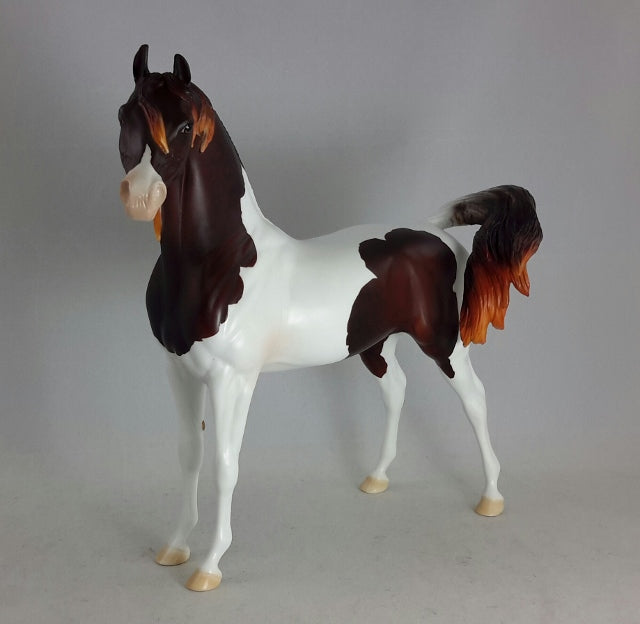FREE SPIRIT - OOAK Dark Liver Chestnut Pintabian
