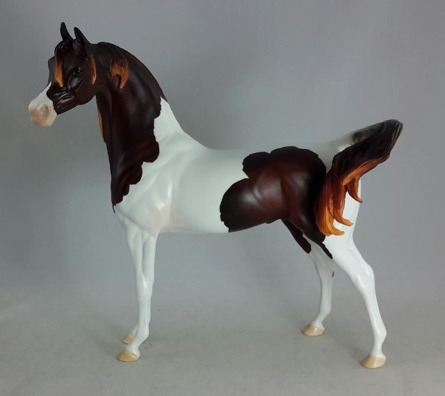 FREE SPIRIT - OOAK Dark Liver Chestnut Pintabian