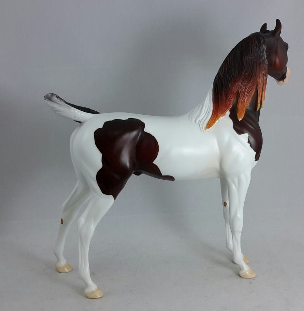 FREE SPIRIT - OOAK Dark Liver Chestnut Pintabian