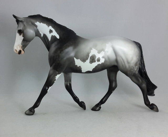 MIDNIGHT MIRAGE - Dapple Gray Palouse