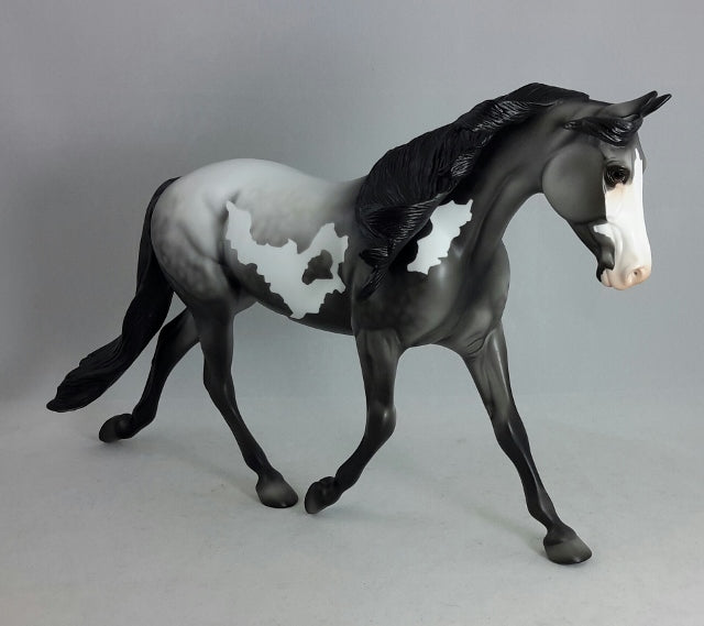 MIDNIGHT MIRAGE - Dapple Gray Palouse