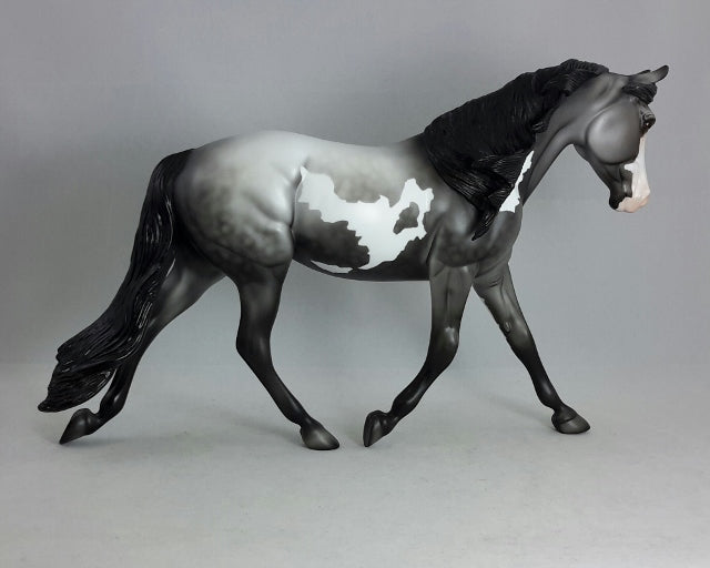 MIDNIGHT MIRAGE - Dapple Gray Palouse