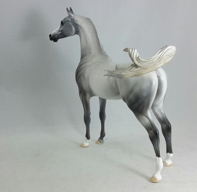 BLUE FOR YOU - OOAK Fleabit Arabian