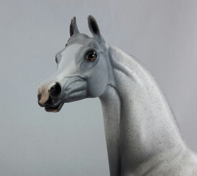 BLUE FOR YOU - OOAK Fleabit Arabian