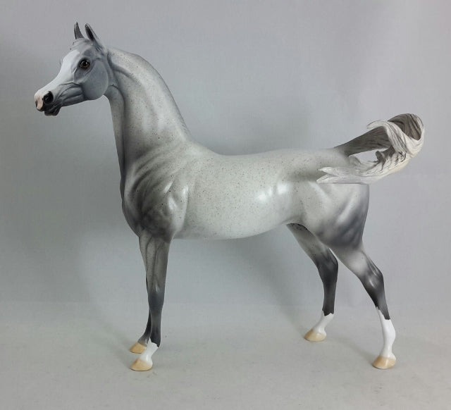 BLUE FOR YOU - OOAK Fleabit Arabian