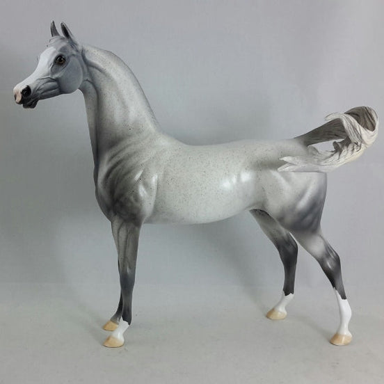 BLUE FOR YOU - OOAK Fleabit Arabian