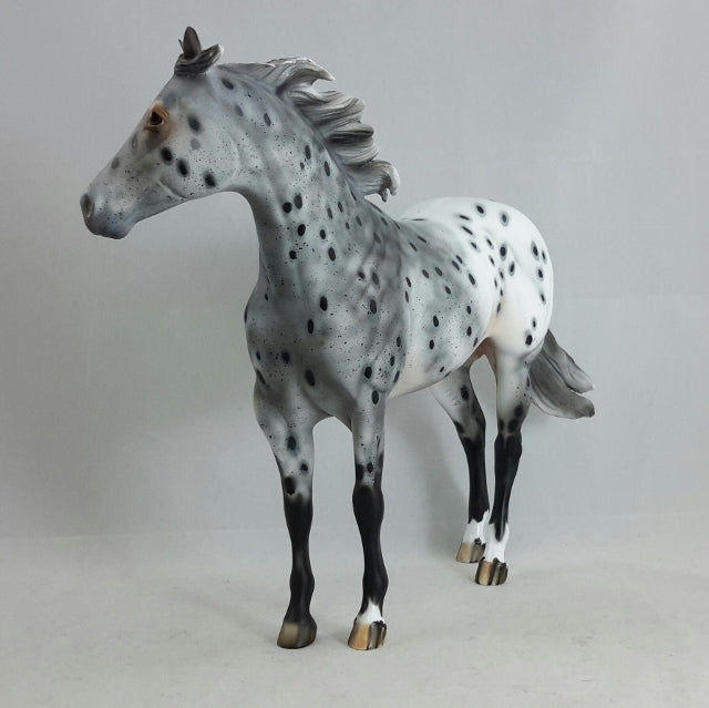 PHANTOM RIDER #1 - Extreme Leopard Appaloosa