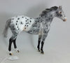 PHANTOM RIDER #2 - Extreme Leopard Appaloosa