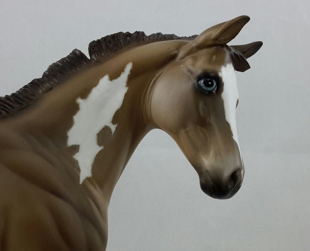 EYELET - Chestnut Overo Weanling