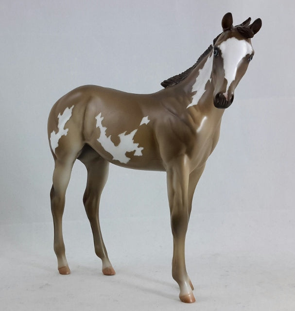 EYELET - Chestnut Overo Weanling