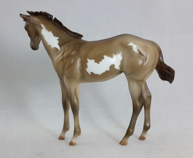 EYELET - Chestnut Overo Weanling