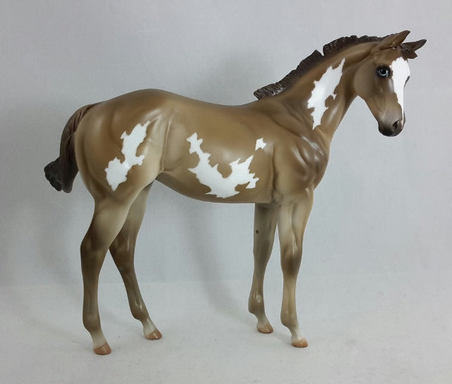 EYELET - Chestnut Overo Weanling