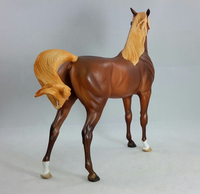 BORGIAS - Chestnut Arabian