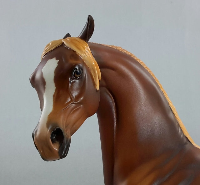 BORGIAS - Chestnut Arabian