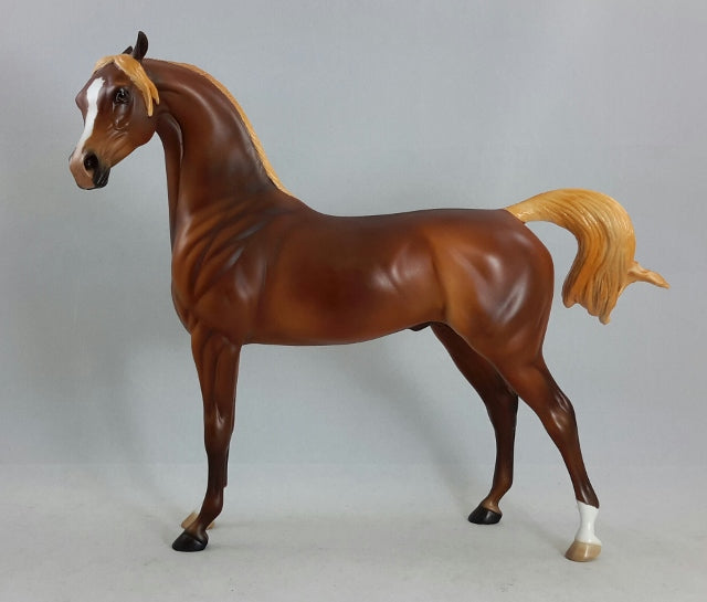 BORGIAS - Chestnut Arabian