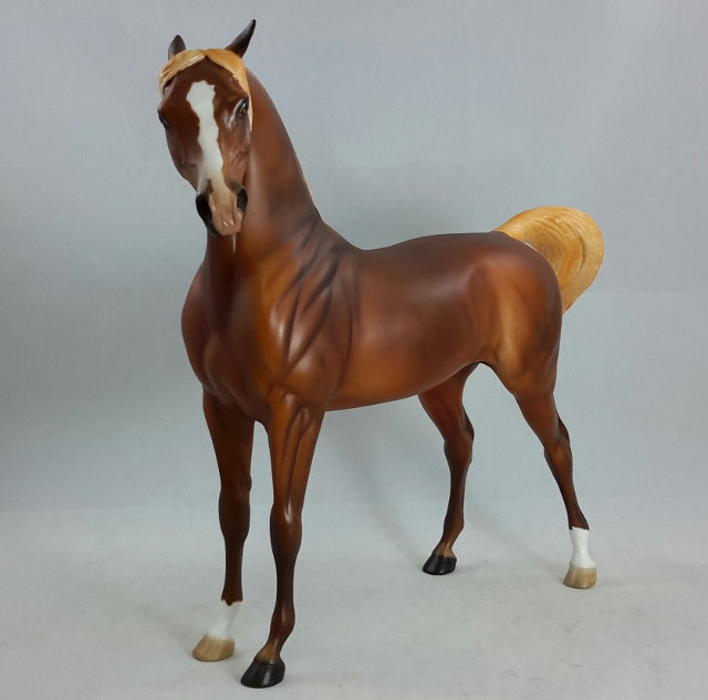 BORGIAS - Chestnut Arabian