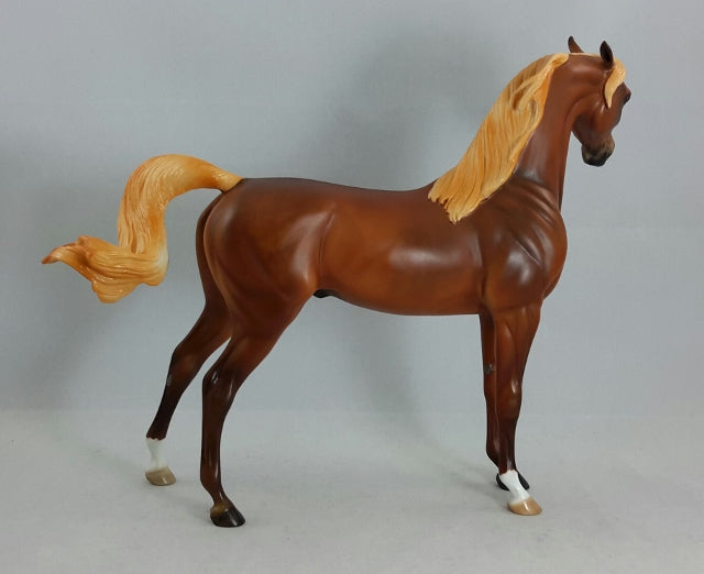BORGIAS - Chestnut Arabian