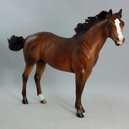 WILD BOY - OOAK Bay Dapple Stock Horse