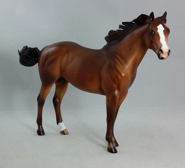 WILD BOY - OOAK Bay Dapple Stock Horse